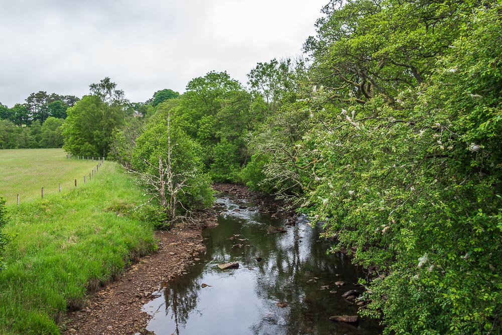 Tarset Burn